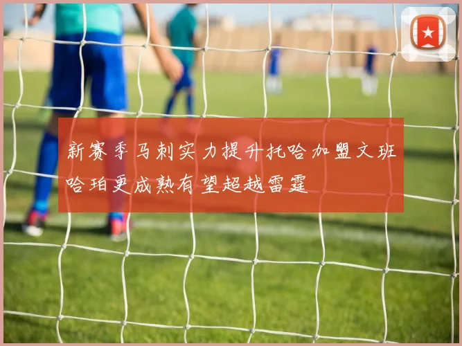 新赛季马刺实力提升托哈加盟文班哈珀更成熟有望超越雷霆