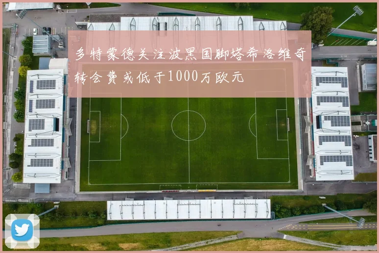 多特蒙德关注波黑国脚塔希洛维奇转会费或低于1000万欧元