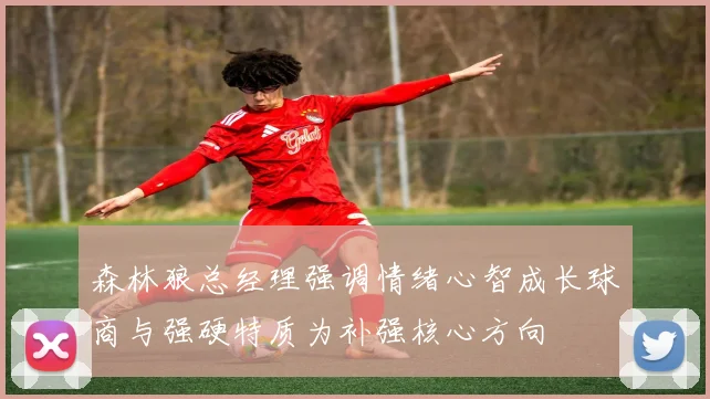 森林狼总经理强调情绪心智成长球商与强硬特质为补强核心方向