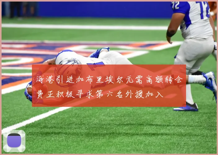 海港引进加布里埃尔无需高额转会费正积极寻求第六名外援加入